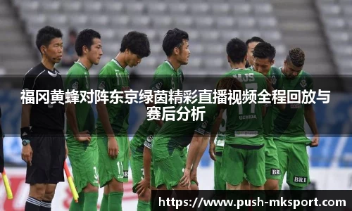 福冈黄蜂对阵东京绿茵精彩直播视频全程回放与赛后分析